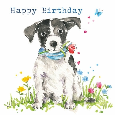 Grußkarte Happy Birthday Hund Bobby